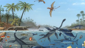 Not all ancient reptiles were dinos—even if they looked or lived like them.