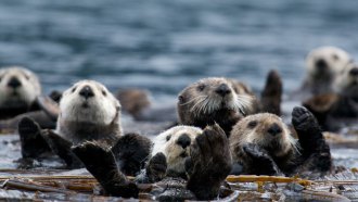 patrickmoody/Flickr (CC-BY-NC-ND 2.0)