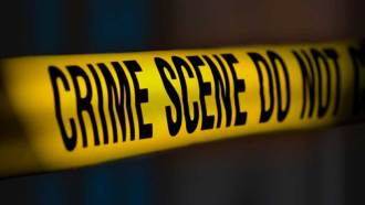 Crime scenes often need scientists to find out whodunnit.