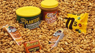 peanuts