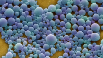 This scanning electron micrograph shows specially engineered nanoparticles that are used to deliver drugs into tissues. If designed with a special surface coating, such drug carriers can home in on particular cells to help stop bleeding and heal injuries.