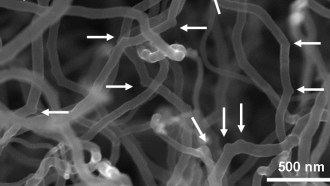 Arrows point to elbows created in carbon nanotubes in this close-up of a nanotube sponge. The elbows are created by boron atoms, and give the material its sponginess.