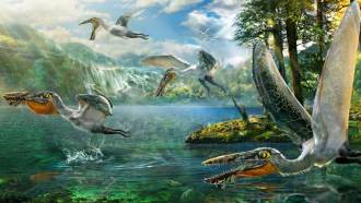 Children’s books often refer to many of the big reptiles, such as flying pterosaur depicted here — the Ikrandraco avatar — as dinosaurs. They aren’t, although they did share the dinos’ environment.