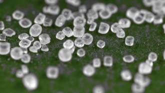 This table salt is a chemical made of two different ions. Chloride is negatively charged and sodium is positively charged.