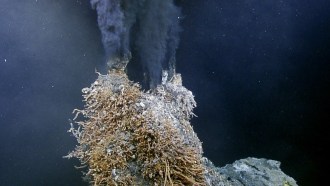 Hydrothermal vent
