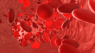 red blood cells