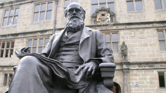 860_darwin_statue.png