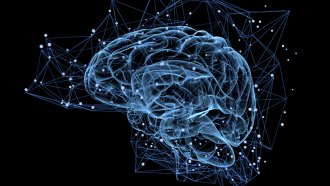 860_main_Brain_imaging copy.png