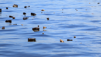 ocean trash