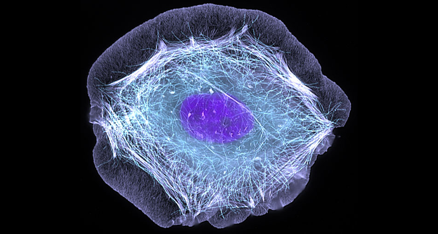 Pattern Inside Cell ‘Nanostraws’ safely sneak a peek inside cells