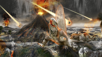dinosaur extinction