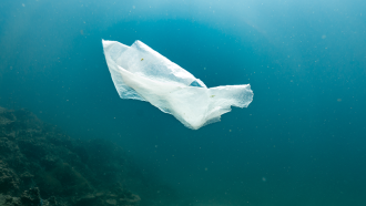 860_plastic_bags_biodegradeable.png
