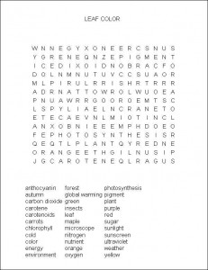 A Change in Leaf Color