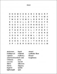 A Spider's Silky Strength