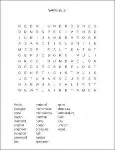 A Whale's Amazing Tooth