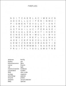 Firefly Delight