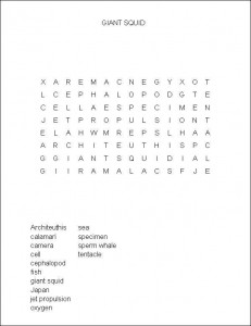 Fishing for Giant Squid