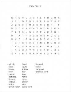 From Stem Cell to Any Cell