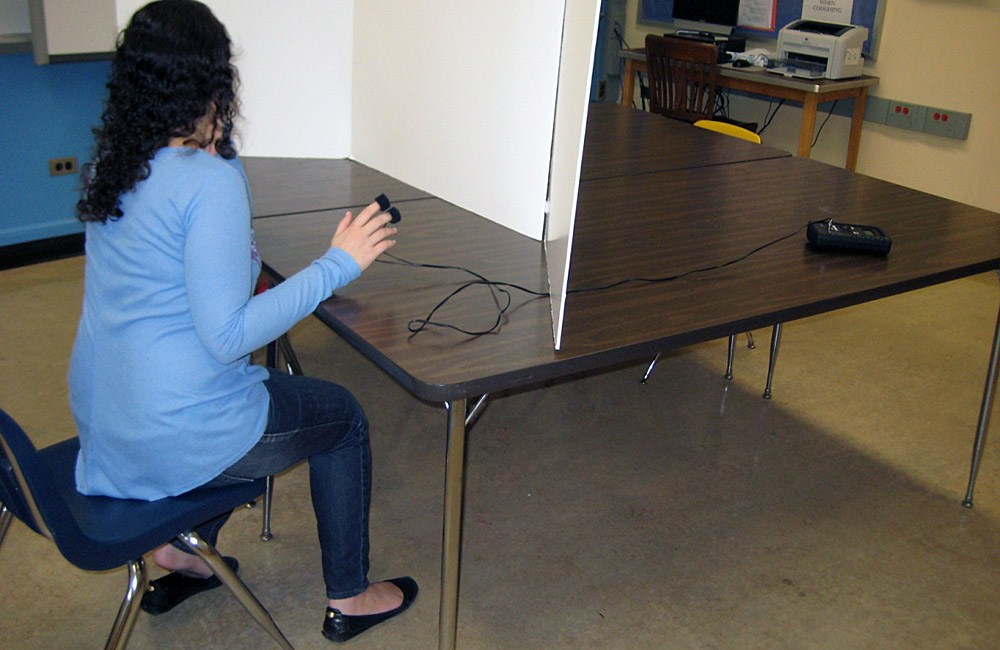 Pathways to research: Pursuing a passion