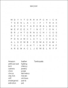 Helping the Cause of Macaws