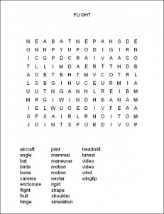 How to Fly Like a Bat