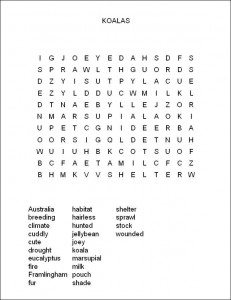 Koalas, Up Close and Personal