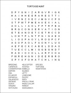 Lessons from a Lonely Tortoise