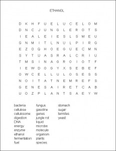 Microbes at the Gas Pump