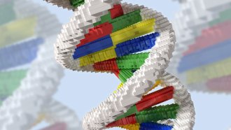 DNA lego