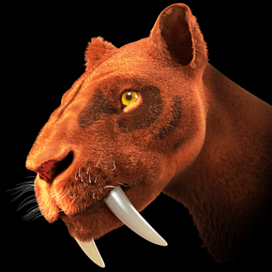 saber-toothed cat