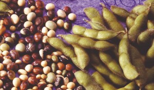 Soy. Credit: Scott Bauer/USDA