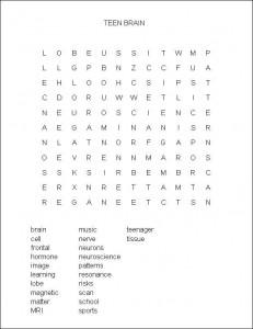 Teen Brains, Under Construction