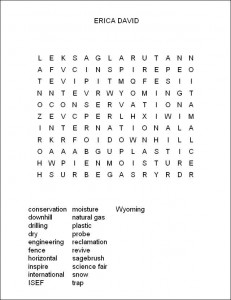 The Best Defense Is a Good Snow Fence