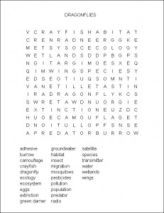 To Catch a Dragonfly