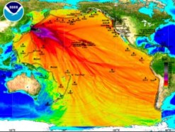 This is a view of the Pacific Ocean, where different colors indicate the height of the tsunami in that area. The highest waves, in black, were probably more than eight feet tall. The orange and red areas indicate areas where the wave was closer to eight inches.