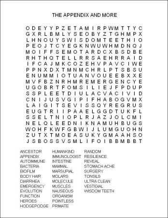 What the appendix is good for