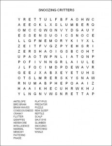 Why Cats Nap and Whales Snooze