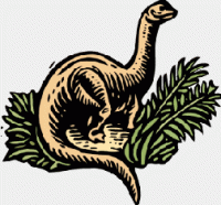 Young dinosaurs probably went through growth spurts on their way to becoming adults.