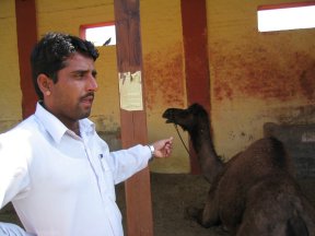 Tour guide Mehram Rebari