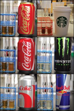Scientists tweaked the genes of a bacterium so that it requires caffeine to live and reproduce. Now, they can use this microbe to measure concentrations of caffeine in beverages such as soda, coffee and energy drinks. When the microbes are added to a water-weakened version of one of those drinks, the bacteria grow and the liquid turns cloudy — but only if the drink contained caffeine. In caffeine-free Coke (top left), no cloudiness appears. Credit: Barrick Lab/University of Texas at Austin