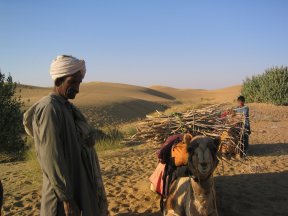 Loading up a camel.