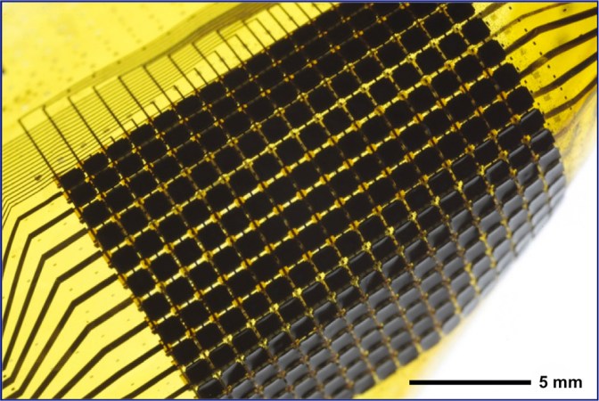 Flexible “skins” that contain electronics, photodetectors and color-changing materials can automatically adapt to the appearance of their environment, just like the skin of cuttlefish and squid. This prototype device, shown in close-up, is capable of producing black-and-white patterns that match those of its surroundings. Credit: Cunjiang Yu