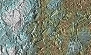 patterned lines visible on a brown and gray surface