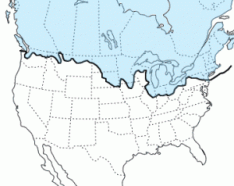 Glacial Extent