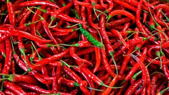 chili peppers