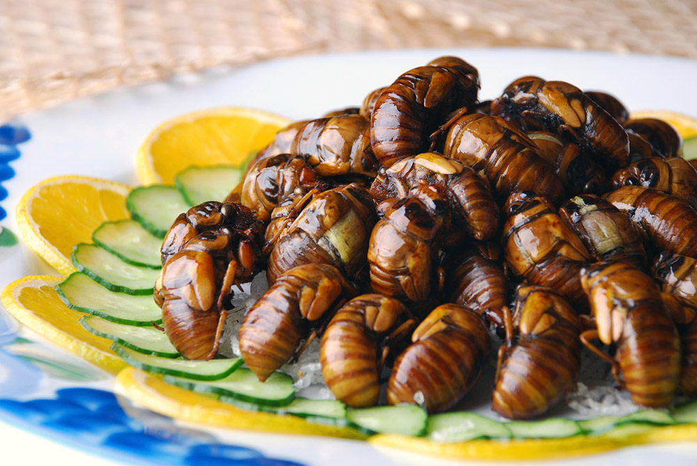 a plate of cicadas