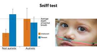 Unlike kids without autism, those with the disorder breathe in just about as deeply whether they’re smelling unpleasant odors like sour milk or pleasant ones such as roses, a new study suggests. Researchers delivered scents via tubes hooked up to a chil