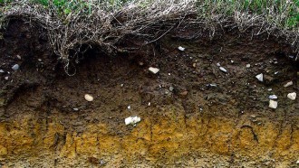 soil Ireland