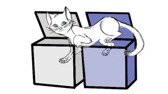Schrödinger’s cat