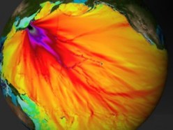 Colors on this map of the Pacific Ocean show the height of the March tsunami. The wave reached nearly 3 meters (more than eight feet) in the black region, near Japan. Yellow and orange indicate areas where the wave height was closer to 20 centimeters (almost 8 inches).